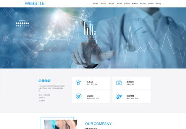 西安網(wǎng)站建設技術服務 打造數(shù)字化時代的核心競爭力