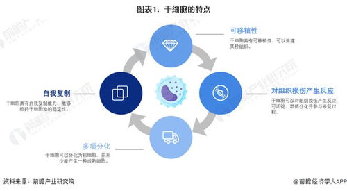 干細(xì)胞技術(shù)最新預(yù)測(cè) 裴鋼院士強(qiáng)調(diào)前沿生物醫(yī)藥產(chǎn)品開發(fā)需確保三大核心要素
